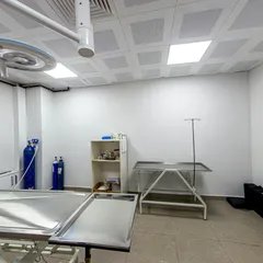 Sahne 7