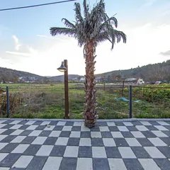 Sahne 6