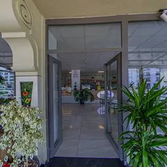 Scene 3