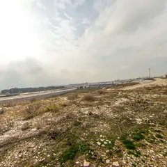 Scene 5