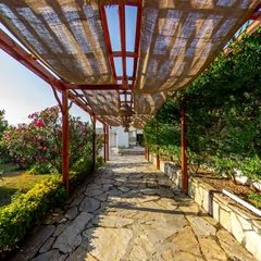 Sahne 5