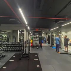 Scene 4
