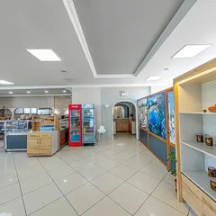 Sahne 6