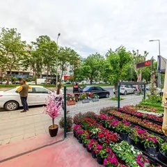 Sahne 2