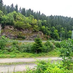 Scene 7